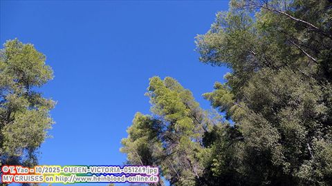 2025-QUEEN-VICTORIA-051249