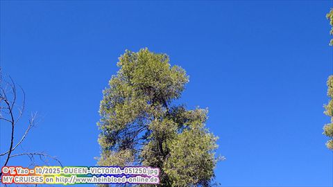 2025-QUEEN-VICTORIA-051250