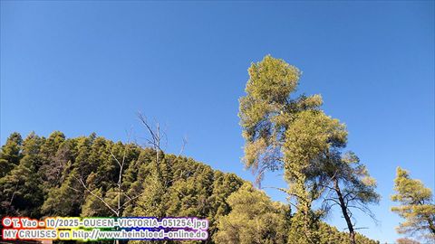 2025-QUEEN-VICTORIA-051254