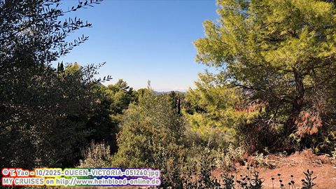 2025-QUEEN-VICTORIA-051260