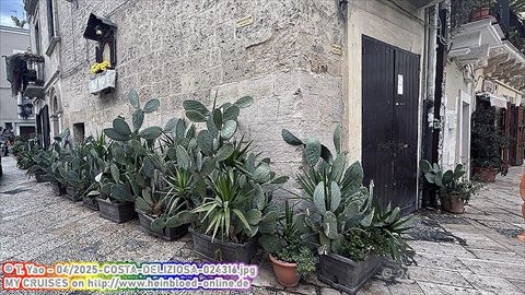 2025-COSTA-DELIZIOSA-024316