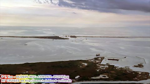 2025-MSC-ARMONIA-053105