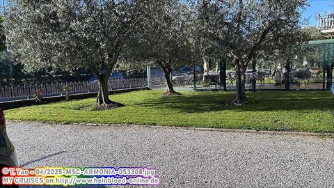 2025-MSC-ARMONIA-053308