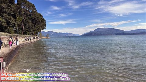 2025-MSC-ARMONIA-060230