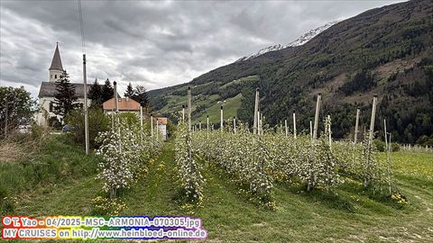 2025-MSC-ARMONIA-070305
