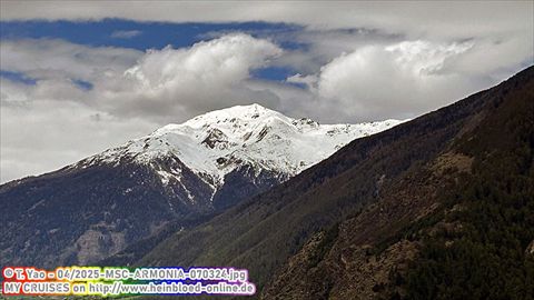 2025-MSC-ARMONIA-070324
