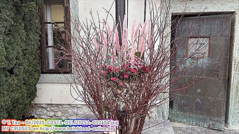 2025-COSTA-DELIZIOSA-0D2606