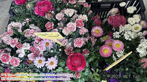 2025-COSTA-DELIZIOSA-0D2607