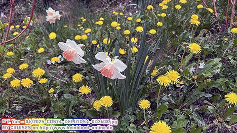 2025-COSTA-DELIZIOSA-0D2608