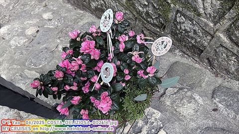 2025-COSTA-DELIZIOSA-0D2614
