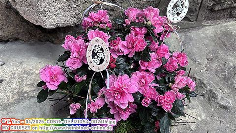 2025-COSTA-DELIZIOSA-0D2615