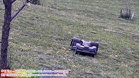 2025-COSTA-DELIZIOSA-0D3102