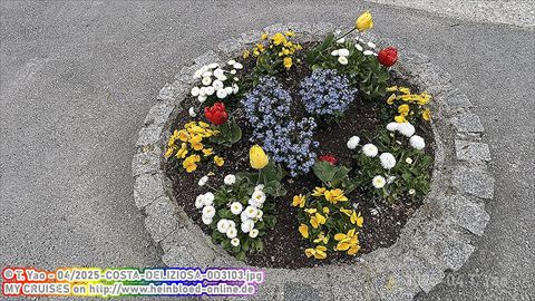 2025-COSTA-DELIZIOSA-0D3103
