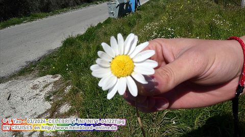 2024-CELEBRITY-INFINITY-041221
