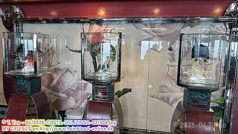 2025-COSTA-DELIZIOSA-021306