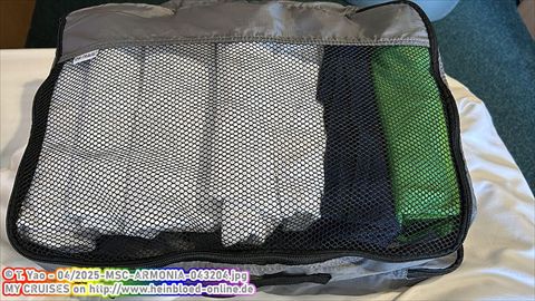 2025-MSC-ARMONIA-043204