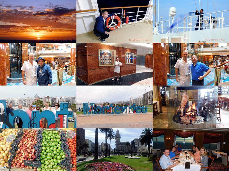 NCL-SUN-Collage-2019-02.jpg