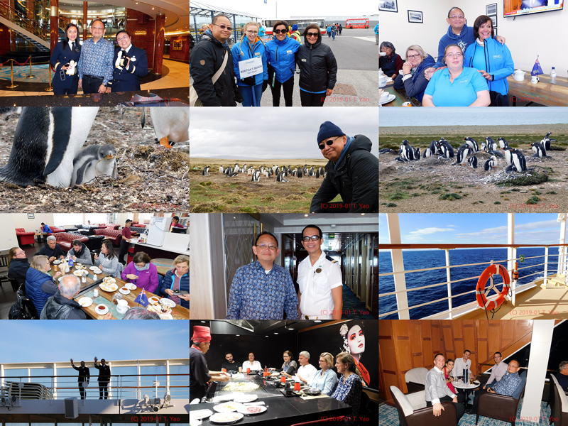 NCL-SUN-Collage-2019-06.jpg